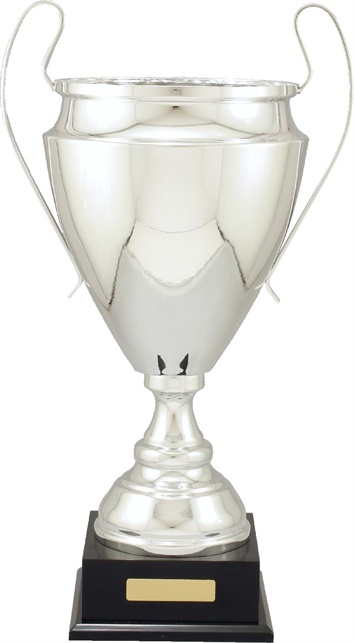 c9309_discount-cups-trophies.jpg