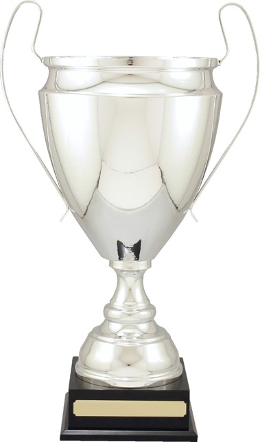 c9309_discount-cups-trophies.jpg