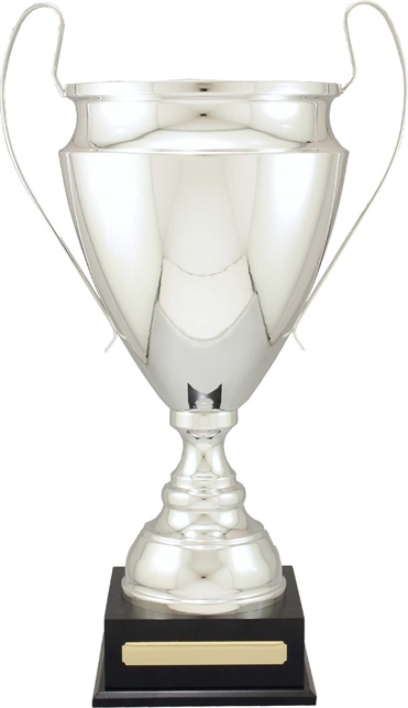 c9309_discount-cups-trophies.jpg