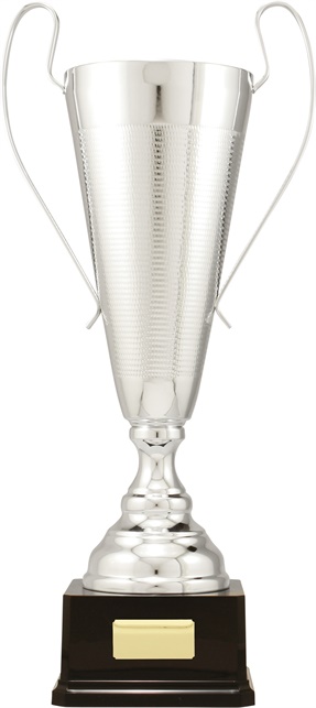 c9312_discount-cups-trophies.jpg