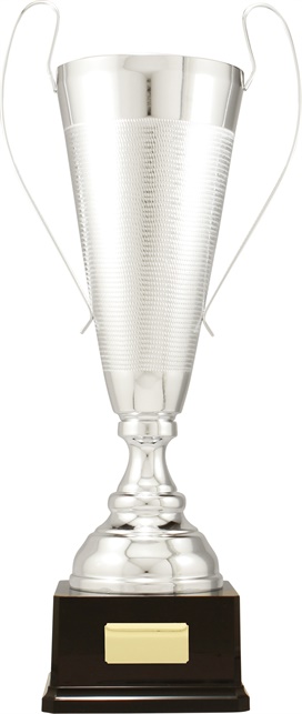 c9312_discount-cups-trophies.jpg