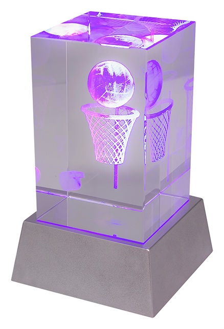 cblh891_discount-netball-trophies.jpg