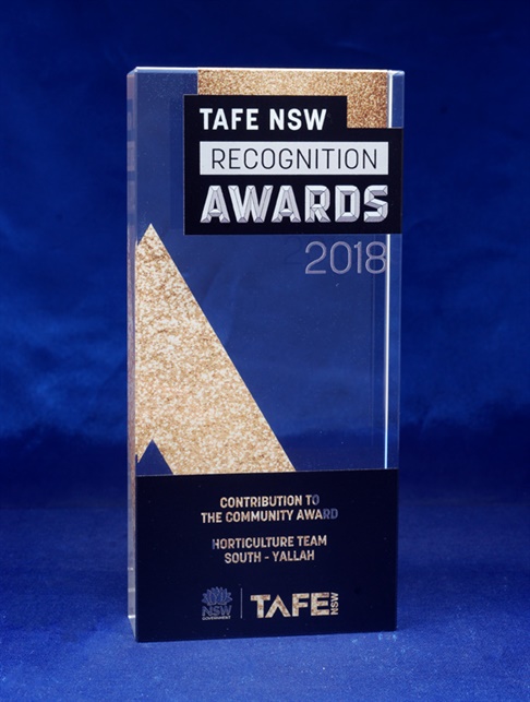 cc1p-170_digital-printed-crystal-award-3.jpg