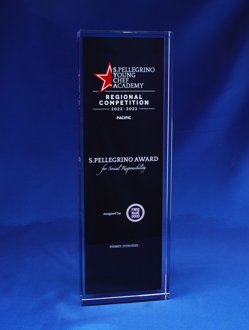 cc1p-170_digital-printed-crystal-award-3.jpg