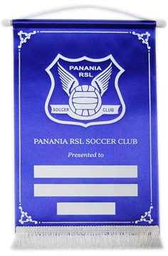 cp-pennant_1-printed-award-pennants-(1).jpg