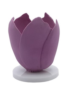 cr-evolution_award-embedment-flower-500x450.jpg