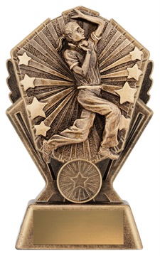 cr115a_discount-cricket-trophies.jpg
