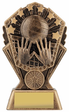 cr127a_discount-volleyball-trophies.jpg