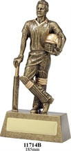 cricket-trophies.jpg