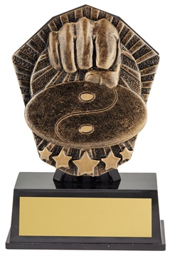 csm45_discount-martial-arts-trophies.jpg