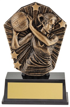 csm91_discount-netball-trophies.jpg