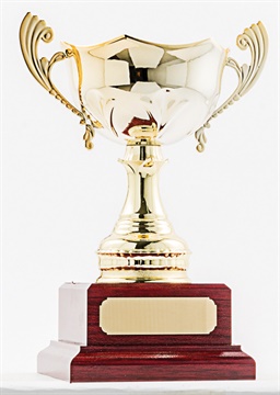 cup50a-g_discount-cup-trophies.jpg