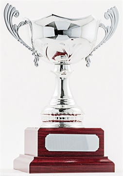cup50a-s_discount-cup-trophies.jpg