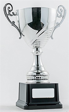 cup51a-s_discount-cup-trophies.jpg