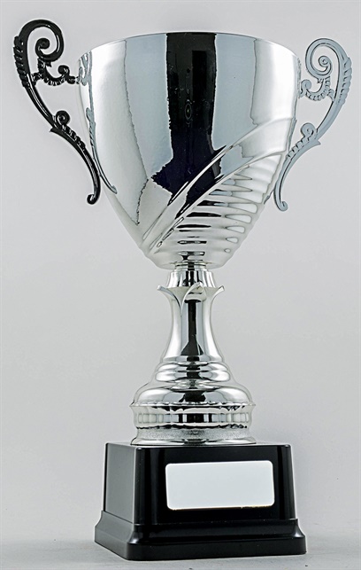 cup51a-s_discount-cup-trophies.jpg