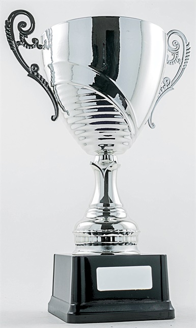 cup51a-s_discount-cup-trophies.jpg
