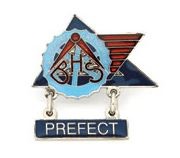 sck-hool-badges---auburn-ps.jpg