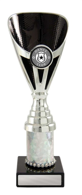 d19-0207_discount-dance-trophies.jpg