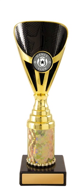 d19-0307_discount-dance-trophies.jpg