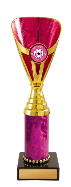 d19-0327_discount-dance-trophies.jpg