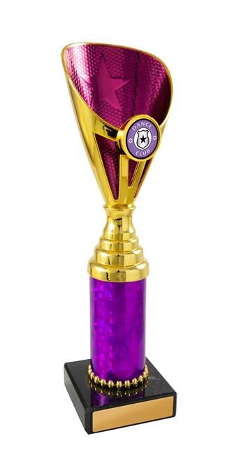 d19-0332_discount-dance-trophies.jpg