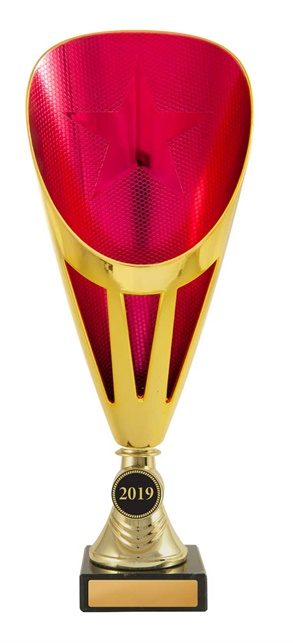 d19-0521_discount-dance-trophies.jpg