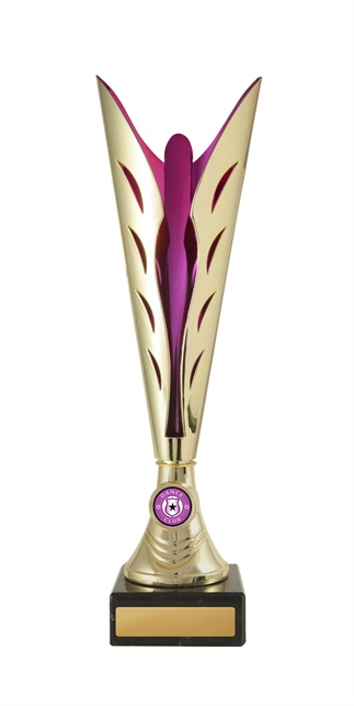 d19-2013_discount-dance-trophies.jpg