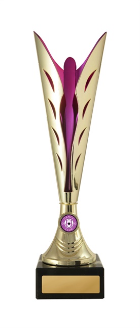 d19-2013_discount-dance-trophies.jpg