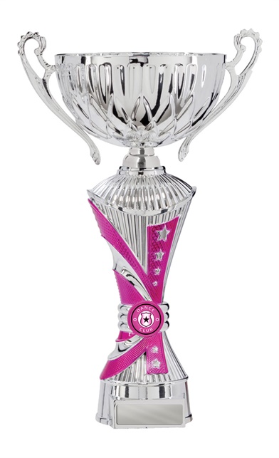 d19-2419_discount-dance-trophies.jpg