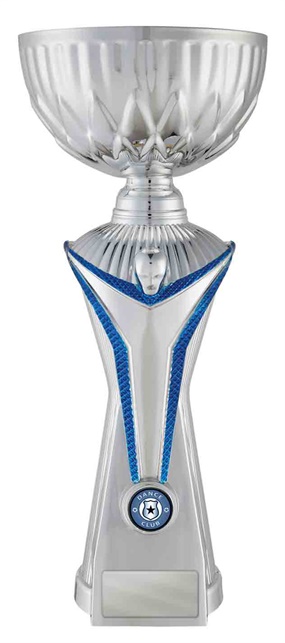 d19-2501_discount-dance-trophies.jpg