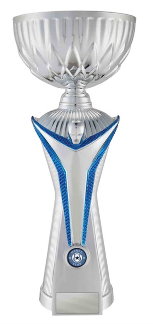 d19-2501_discount-dance-trophies.jpg