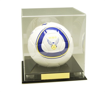dco2_soccer-ball-display-case.jpg