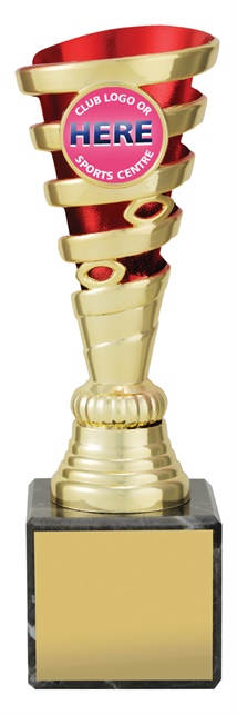 df0106_discount-dance-trophies.jpg