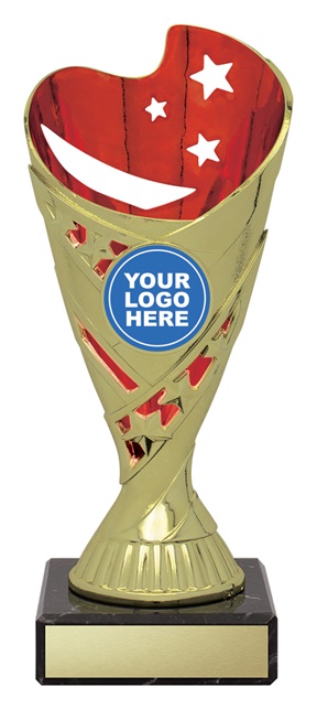 df4022_discount-dance-trophies.jpg