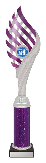df4058_discount-dance-trophies.jpg