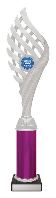 df4068_discount-dance-trophies.jpg