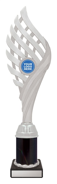 df4073_discount-dance-trophies.jpg