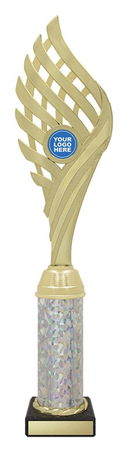 df4078_discount-dance-trophies.jpg