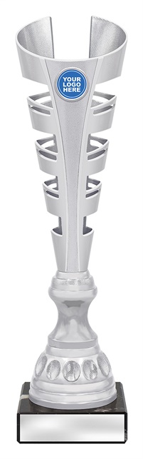 df4192_discount-dance-trophies.jpg