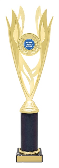 df4203_discount-dance-trophies.jpg
