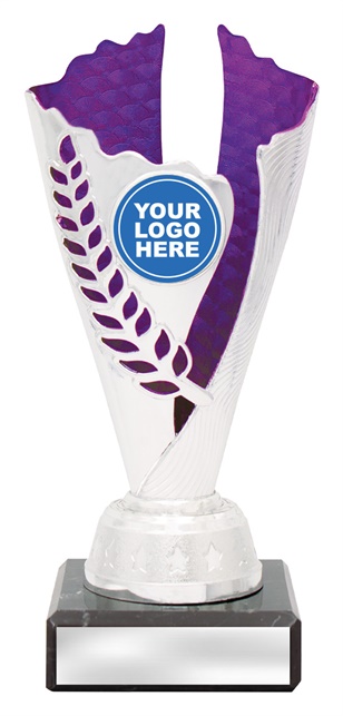 df4317_discount-dance-trophies.jpg