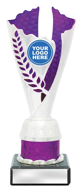 df4318_discount-dance-trophies.jpg