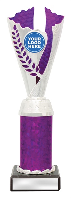 df4318_discount-dance-trophies.jpg