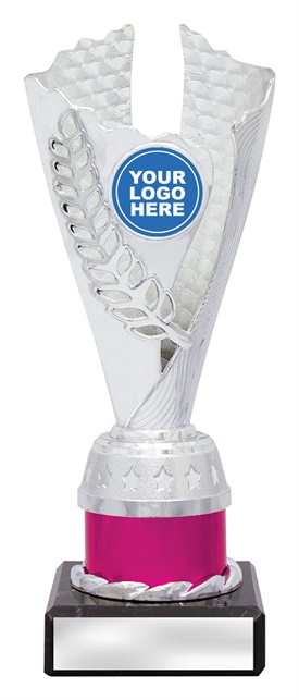 df4323_discount-dance-trophies.jpg