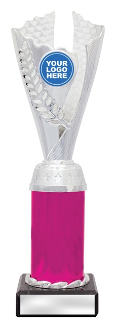 df4323_discount-dance-trophies.jpg