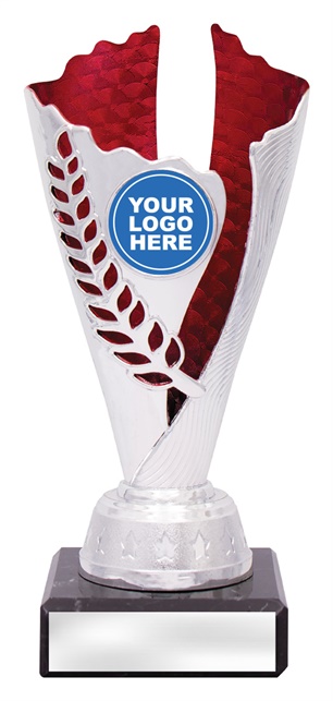df4327_discount-dance-trophies.jpg