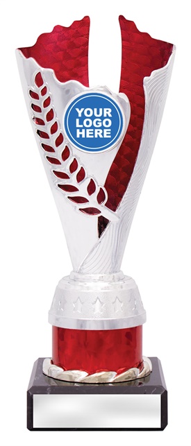 df4328_discount-dance-trophies.jpg