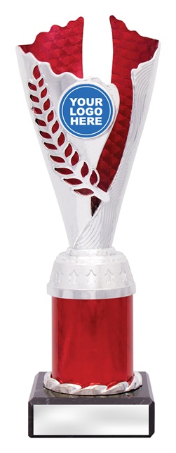 df4328_discount-dance-trophies.jpg