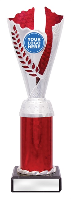 df4328_discount-dance-trophies.jpg