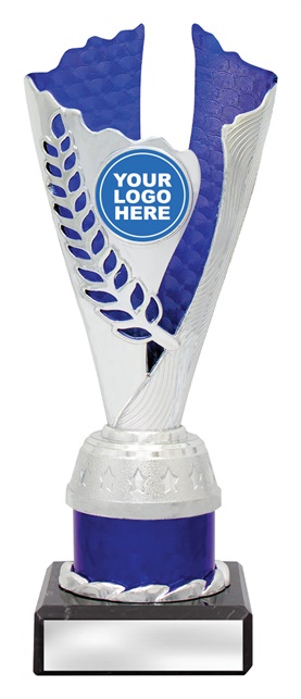 df4333_discount-dance-trophies.jpg